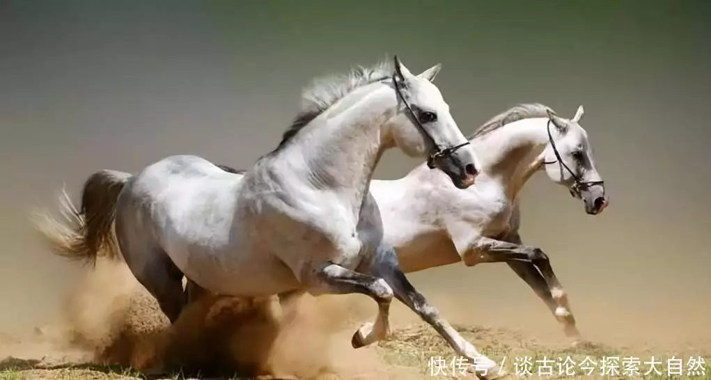 无论是古代的邮驿系统_古代邮驿系统发展历史_八百‮急加里‬制度运作流程