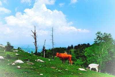 桓仁老秃顶子山