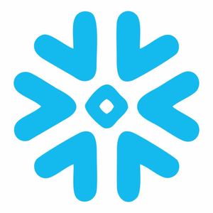 SNOW量化AI_SnowAI量化_互联网最佳欢迎奖