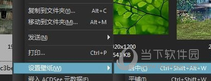 ACDSee10.0中文版免费下载