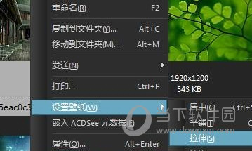 ACDSee10.0中文版免费下载