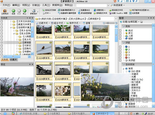 ACDSee10.0中文版免费下载