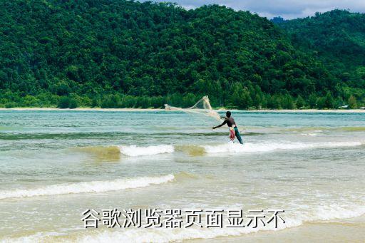 谷歌浏览器页面显示不