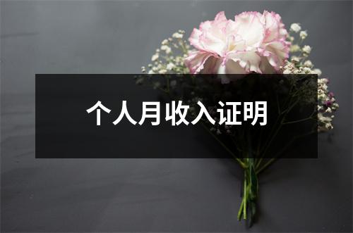 个人月收入证明
