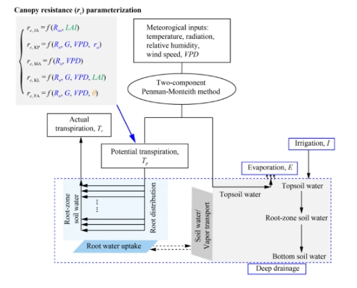 Qbot_soil water content dynamics in maize field under semiarid climate_evapotranspiration partitioning with different canopy resistance methods
